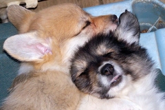 snuggle